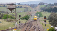 8159 on grain at Yass Junction