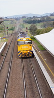 8159 on grain at Yass Junction