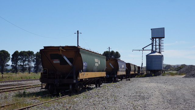 Grain wagons at Maroona