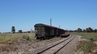 Stored wagons at Murtoa