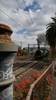 Steamrail between Hawksburn and South Yarra