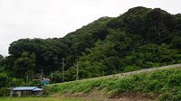 Super-view Odoriko approaching Shimoda