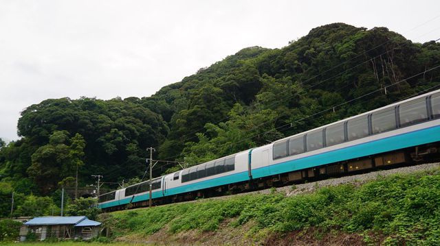 Super-view Odoriko approaching Shimoda