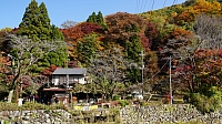 Garden next to Takano River