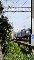XTrap approaches South Yarra