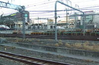 Shinkansen at Tokyo