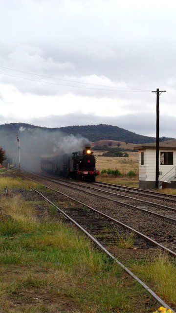 Full steam ahead through Jerrawa