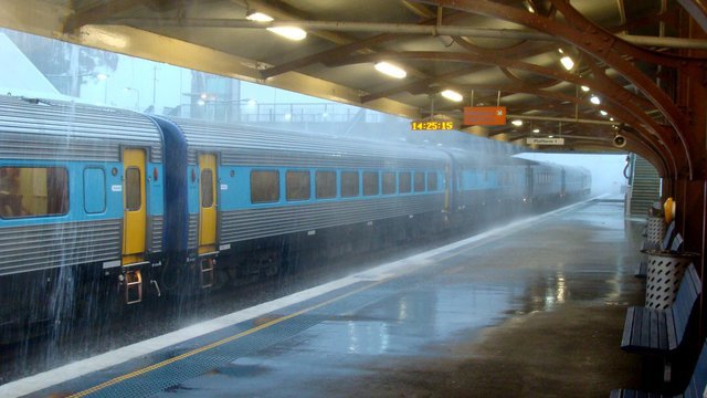 XPT pauses in Maitland in the rain