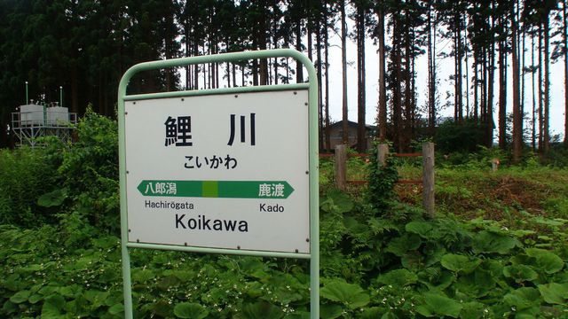 Koikawa Station