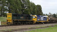 X46 and 8182 shunting Oil in Fyshwick