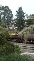 X52 and 8015 shunting Oil in Fyshwick