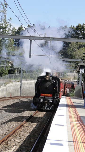 Steamrail K Class passing Laburnum