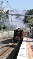 Steamrail K Class passing Laburnum