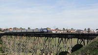 XPT on Bridge near Pascoe Vale