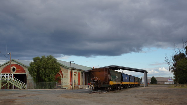PacNat depot/wagons next to Echuca Station