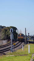 RLs from the Port at Marrickville